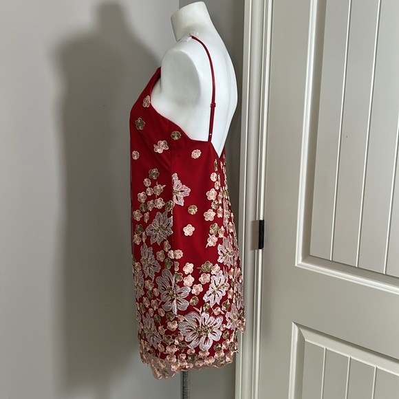 Free People x Backstage Australia Red Floral Dress Embroidered Lace Lined Sz M - Picture 6 of 15